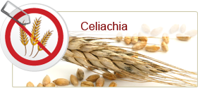 Celiachia